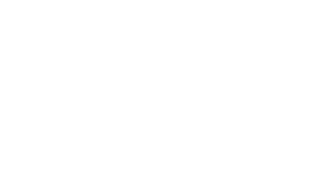 Gasshie Handbags